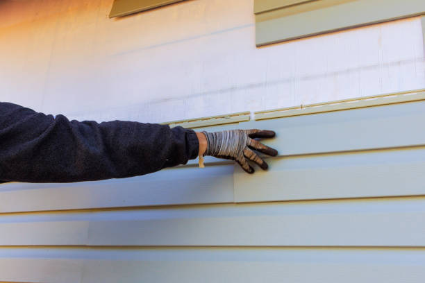 La Selva Beach, CA Siding Installation & Repair Company